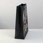 Пакет ламинированный вертикальный «Герб», M 26 × 30 × 9 см 7112477