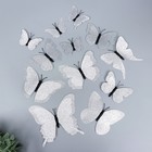 Магнит пластик "Бабочки двойные крылья - блеск" серебро набор 12 шт - фото 4143266