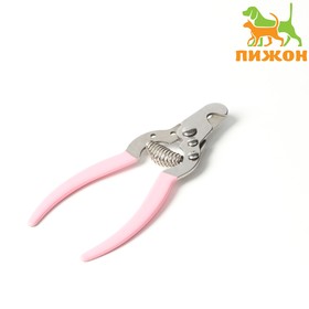 Розовый