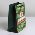 Пакет ламинированный вертикальный «Звезда», MS 18 × 23 × 10 см 7112463