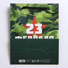 Пакет ламинированный вертикальный «Звезда», MS 18 × 23 × 10 см 7112463