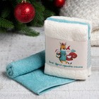 Новогодние полотенца (подарочный набор 3 шт.) Этель "Зима" 30х30 см-3шт, 340гр/м2, 100% хлопок