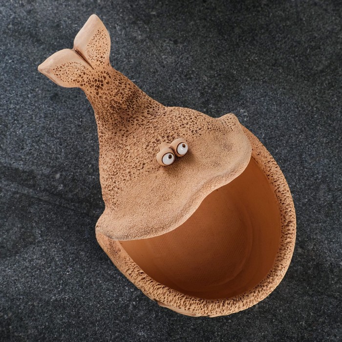 кашпо в виде кита. кит тарелка керамика. мини горшочки для цветов. кит из керамики. ваза в форме животного.