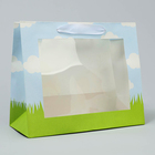 Пакет крафтовый с пластиковым окном «Friends», 24 х 20 х 11 см 7167122