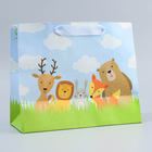 Пакет крафтовый с пластиковым окном «Friends», 24 х 20 х 11 см 7167122