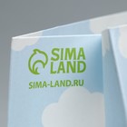 Пакет крафтовый с пластиковым окном «Friends», 24 х 20 х 11 см 7167122