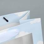 Пакет крафтовый с пластиковым окном «Friends», 24 х 20 х 11 см 7167122