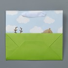 Пакет крафтовый с пластиковым окном «Friends», 24 х 20 х 11 см 7167122