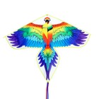 Воздушный змей «Попугай» - фото 4200004