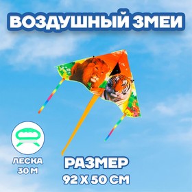 Воздушный змей "Звери" в Донецке
