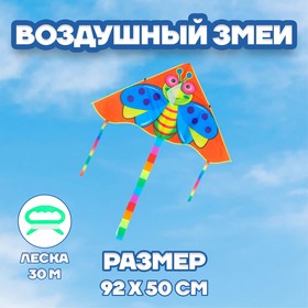 Воздушный змей "Пчёлка" в Донецке