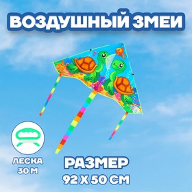 Воздушный змей "Черепаха" в Донецке