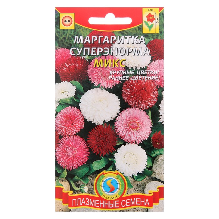 Маргаритки Семена Купить