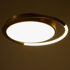 Люстра с ПДУ 2219/1 LED 110Вт диммер золото 48х48х7 см - фото 800514264