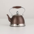 Чайник заварочный из нержавеющей стали «Звёздное небо», 1 л, с металлическим ситом, индукция, цвет коричневый - фото 6821900