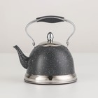 Чайник заварочный из нержавеющей стали «Звёздное небо», 1,2 л, с металлическим ситом, индукция, цвет серый - фото 6821928