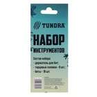 Набор инструментов ТУНДРА, подарочный пластиковый кейс, 25 предметов 7379060 Набор инструментов ТУНДРА, подарочный пластиковый кейс, 25 предметов 7379060