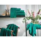 Полотенце махровое Emerald, размер 30х50 см, цвет зелёный - фото 6909983