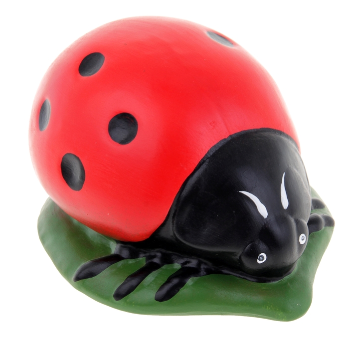 божья коровка отзывы. жук арлекин божья коровка. толстая божья коровка. жук арлекин божья коровка. божья коровка волчок игрушка.