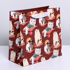 Пакет ламинированный квадратный «Котейка», 22 × 22 × 11 см 7150756