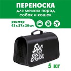 Сумка - переноска раскладная «Бро не багаж» 43х27х20 см - фото 1732036