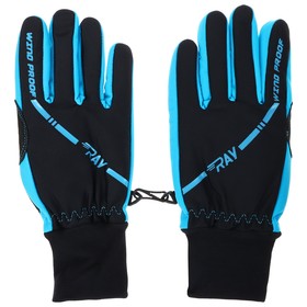 Ray Gloves Arctic Blue (XS / 7). 