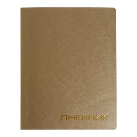 Дневник премиум класса 1-11кл Балакрон VIGO VT0305, паутинка, золотой
