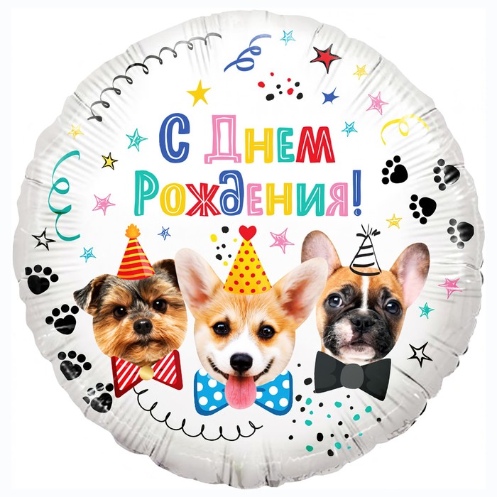 Шар фольгированный 18" «С днём рождения! Собачки», круг, в упаковке - фото 11053061
