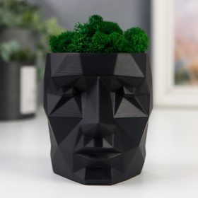 Кашпо бетонное "Голова" со мхом высота 8,5 см черное (мох зеленый стабилизированный)