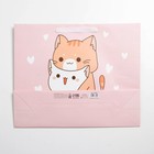 Пакет ламинированный «Вместе», L 40 × 31 × 11,5 см 7183901