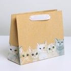 Пакет крафтовый подарочный «Тебе», 22 × 17,5 × 8 см 7188216