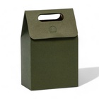 Коробка-пакет с ручкой, зеленая, 15 х 10 х 6 см - фото 4249131