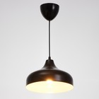 Светильник 2515/1BK, 40ВТ Е27, цвет чёрный - фото 2798369