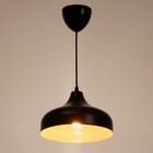 Светильник 2515/1BK, 40ВТ Е27, цвет чёрный - фото 2798370