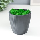 Кашпо бетонное "Красота" высота 8 см черное со мхом (мох зеленый стабилизированный) - фото 800553577