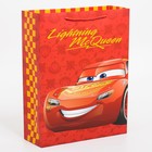 Пакет подарочный "95", Тачки, 31х40х11,5 см 7153496