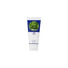 Очищающая пенка с зеленым чаем, матирующая Daily Fresh Green tea Cleansing Foam, 150 мл 7521656 - фото 4303853