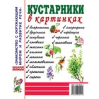 Кустарники в картинках. Наглядное пособие для педагогов, логопедов, воспитателей и родителей 7628948 - фото 8030351