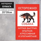 Наклейка "Осторожно собака" 200*300, хитрая, быстрая, цвет красно-белый - фото 5788602