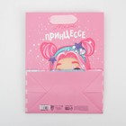 Пакет ламинированный вертикальный «Милой принцессе», MS 18 × 23 × 10 см 7164768