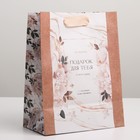 Пакет крафтовый вертикальный «Подарок для тебя», MS 18 × 23 × 8 см 7303772