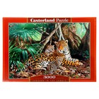 Пазл «Ягуары в джунглях», 3000 элементов - фото 260019