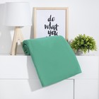 Плед Экономь и Я Изумруд 75*100 см, пл.160 г/м2, 100% п/э - фото 800823599