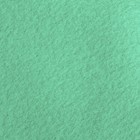 Плед Экономь и Я Изумруд 75*100 см, пл.160 г/м2, 100% п/э - фото 800823600