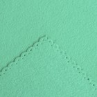 Плед Экономь и Я Изумруд 75*100 см, пл.160 г/м2, 100% п/э - фото 800823601