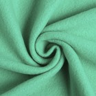 Плед Экономь и Я Изумруд 75*100 см, пл.160 г/м2, 100% п/э - фото 800823602