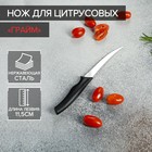 Нож Доляна «Грайм» для цитрусовых, лезвие 11,5 см, цвет чёрный - фото 1404896