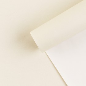 Бумага упаковочная крафтовая «Молочная», 70 × 100 см (10 шт)