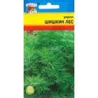 Семена Укроп "Шишкин лес", 1 г - фото 4384911
