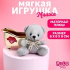 Мягкая игрушка «В моём сердце только ты», 11 см., цвета МИКС - фото 1739717